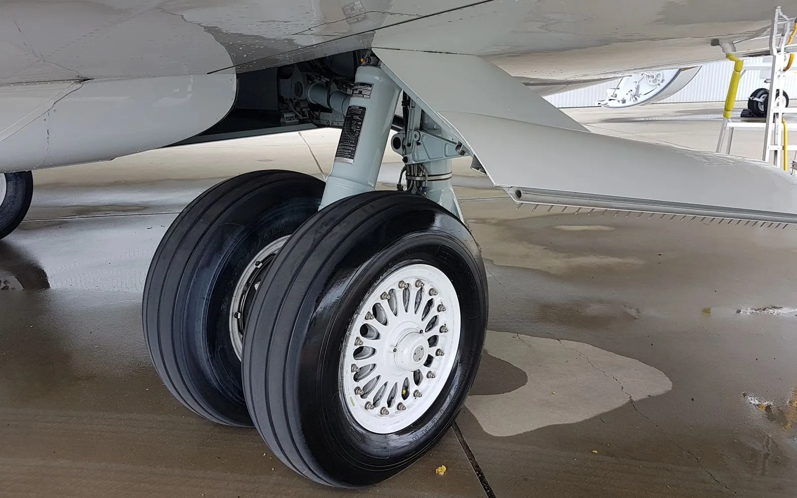 Gear & Belly Degreasing — Jet Refined